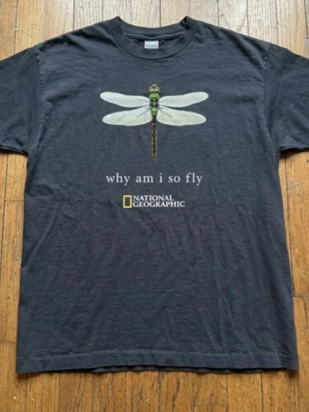 National Geographic Why Am I So Fly Dragonfly Graphic Unisex